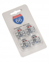 4er Set Ventilkappen Totenkopf mit Knochen in silber